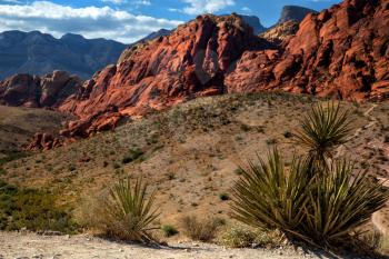 Landscape into Red Rock Canyon in Nevada with mountains in background