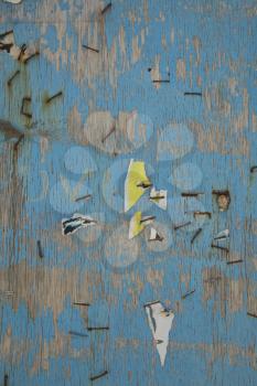 Staples and papers in a grunge blue wall