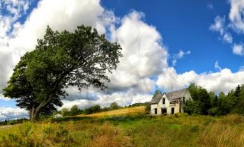 Abandoned house framed by a mature tree in a rural setting on a summer day