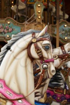White horse in a carousel at the fair