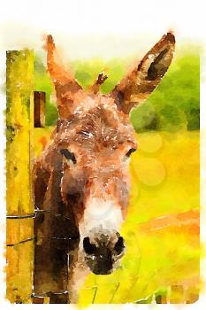 Digital watercolour of a Donkey in a land