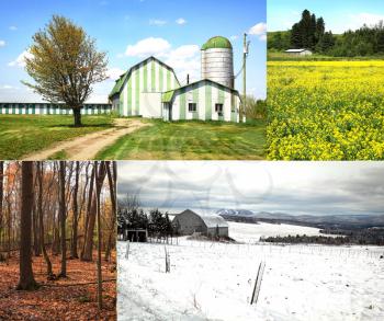Collage of four pictures. one for each season, spring, summer, fall and winter